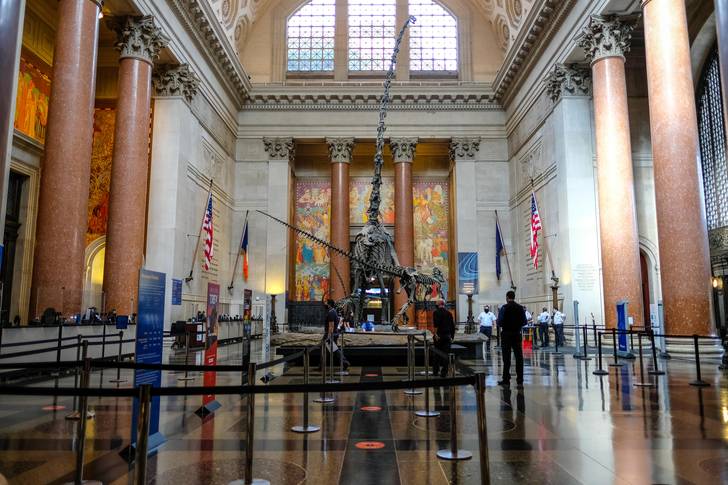 The American Museum of Natural History on its first day of reopening, looking more empty than usual